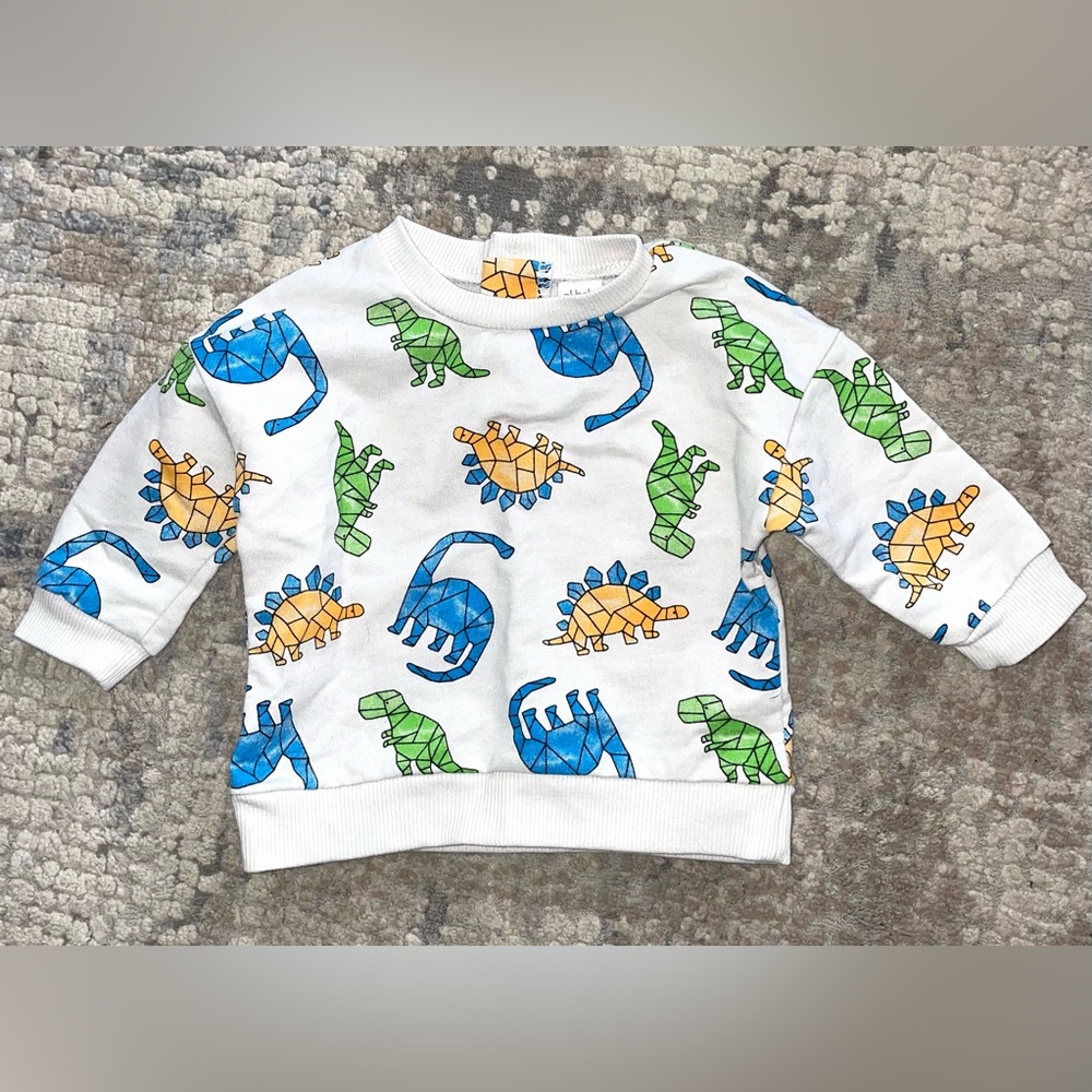 PL Baby dinosaur pullover sweatshirt size 6 months